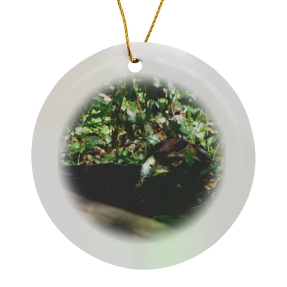 3drose, a Golden Eagle Hiding in the Bush, Circle Porcelain Ornament