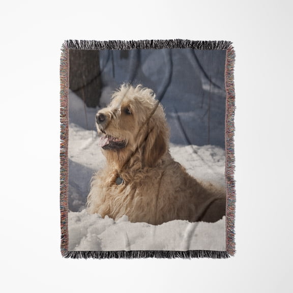 A Goldendoodle Dog In The Snow - Us32 Zmu0065 - Zandria Muench Beraldo, Woven Blanket