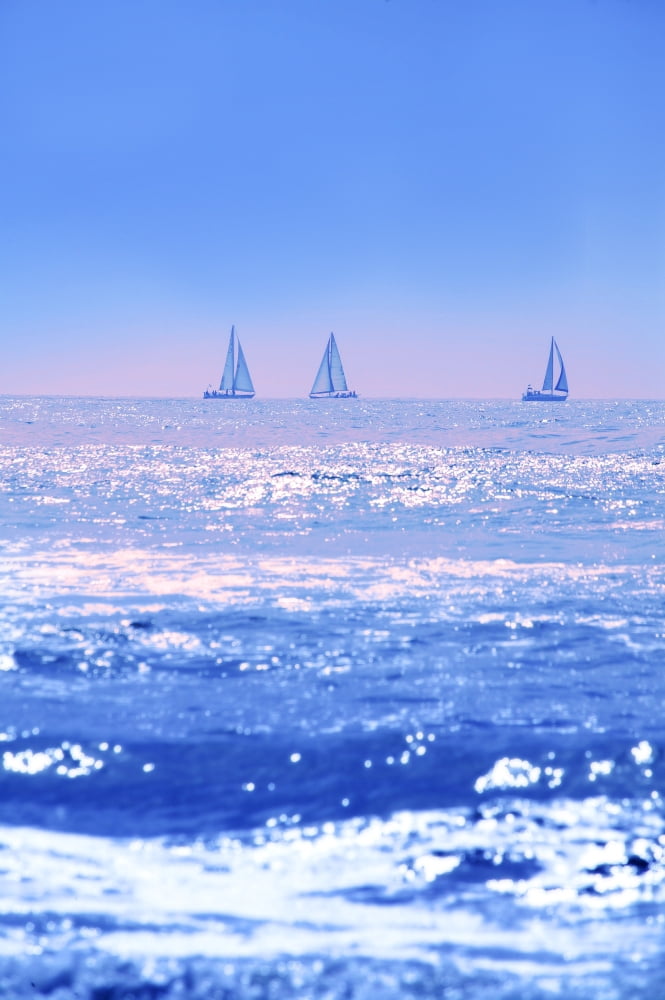 A Good Day For Sailing Canvas Art - Con Tanasiuk Design Pics (11 x 17)