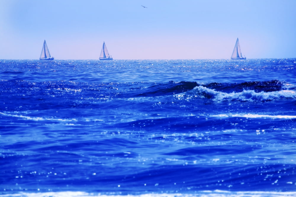 A Good Day For Sailing Canvas Art - Con Tanasiuk Design Pics (17 x 11)