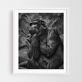 thumbnail image 1 of A Gorilla Reflects - Photography Black and White Wildlife Animal Portrait Nature Moody Jungle White Framed Wall Art Print 16 x 20 inches, 1 of 3