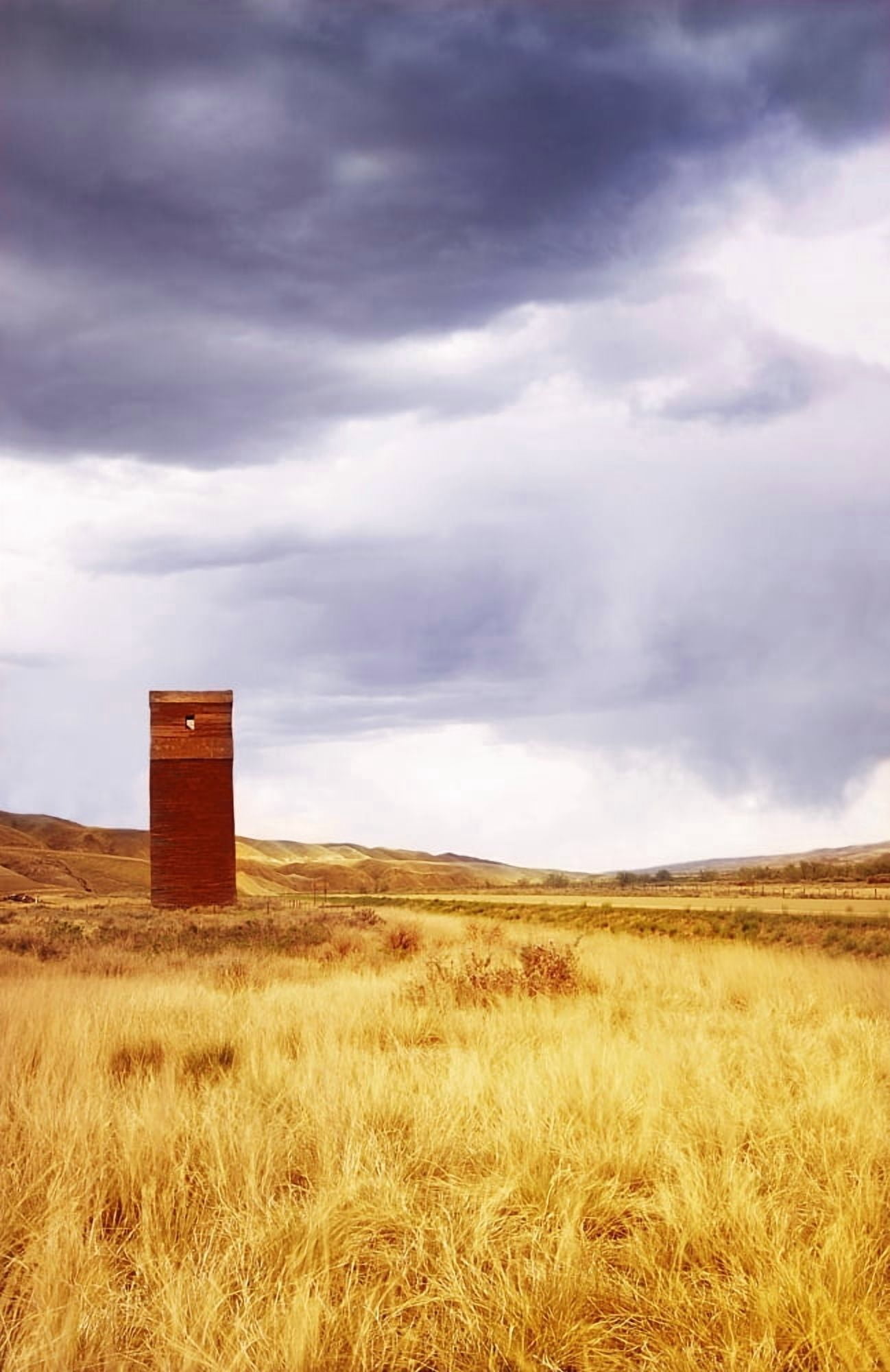 A Grain Elevator In A Field Canvas Art - Chris and Kate Knorr Design Pics (22 x 34)