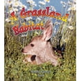thumbnail image 1 of Introducing Habitats: A Grassland Habitat (Paperback), 1 of 1