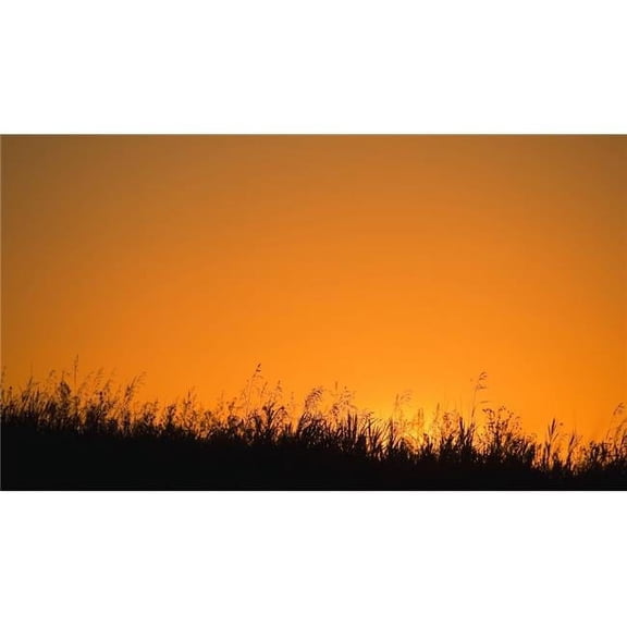 A Grassy Field with The Sun Setting Behind It Poster Print by Carson Ganci, 36 x 20 - Large