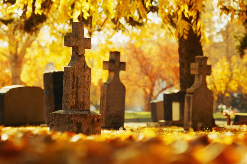 A Graveyard Canvas Art - Don Hammond Design Pics (17 x 11)