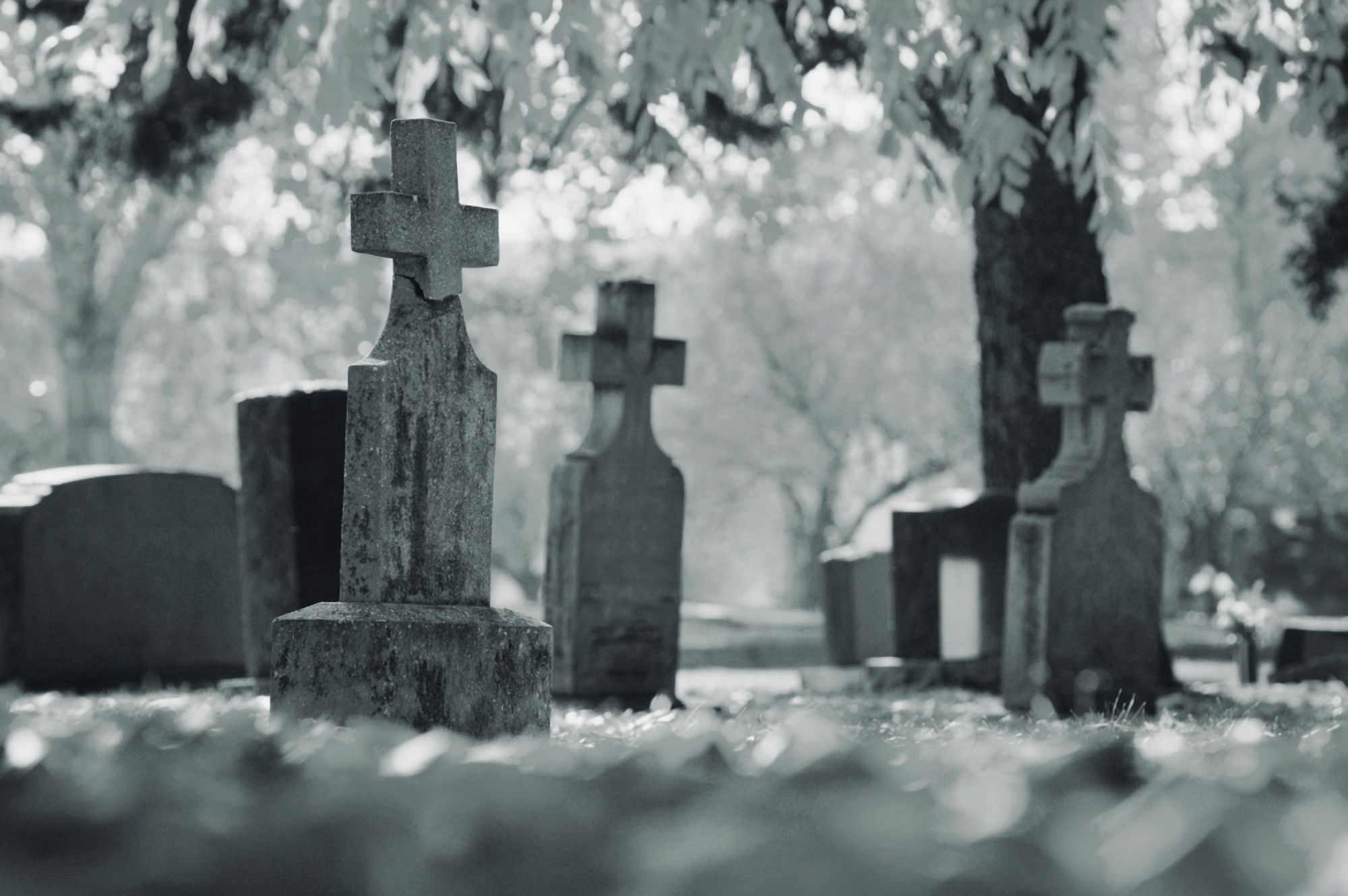 A Graveyard Canvas Art - Don Hammond Design Pics (34 x 22)