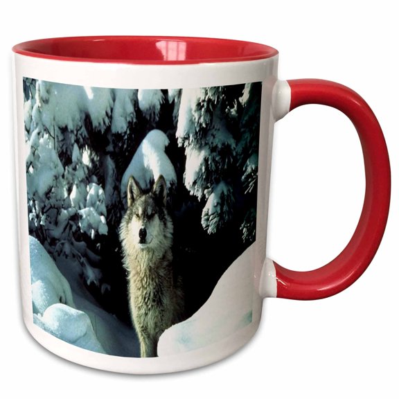 3drose, a Gray Wolf in the Snow, 11oz Two-tone Red Mug