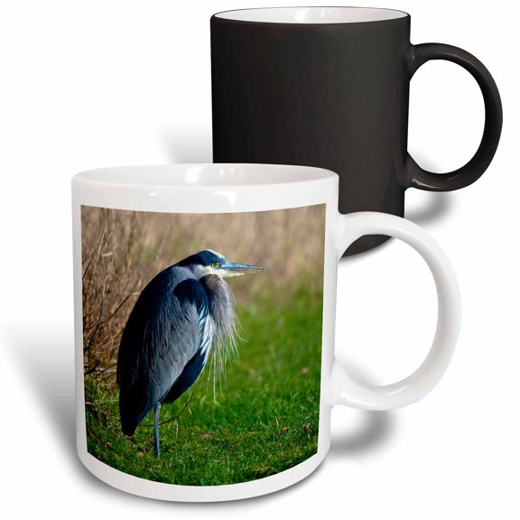 3drose, a Great Blue Heron Rests on the Foreshore of the Ocean in B.c., 11oz Magic Transforming Mug