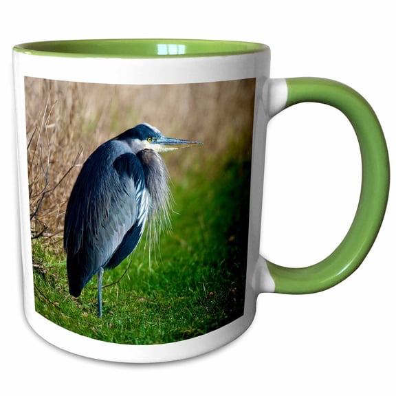 3drose, a Great Blue Heron Rests on the Foreshore of the Ocean in B.c., 11oz Two-tone Green Mug