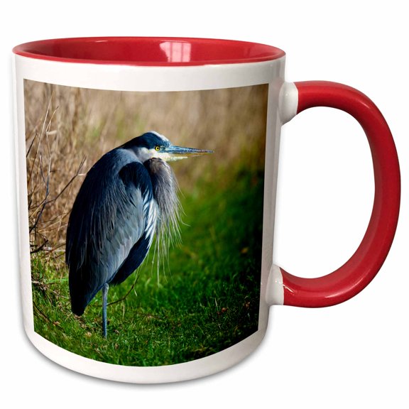 3drose, a Great Blue Heron Rests on the Foreshore of the Ocean in B.c., 11oz Two-tone Red Mug