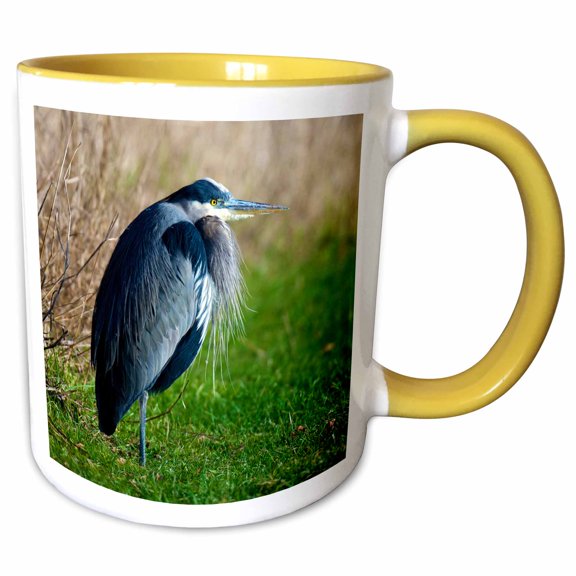 3drose, a Great Blue Heron Rests on the Foreshore of the Ocean in B.c., 11oz Two-tone Yellow Mug