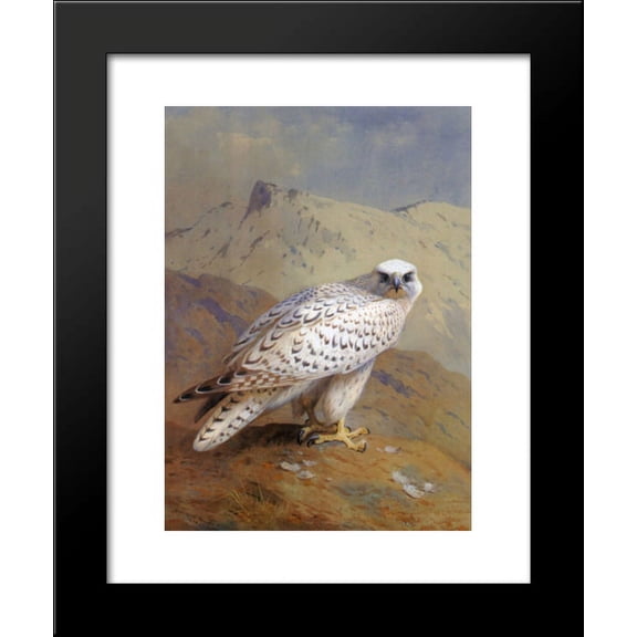 A Greenland, or Gyr Falcon 20x24 Framed Art Print by Archibald Thorburn