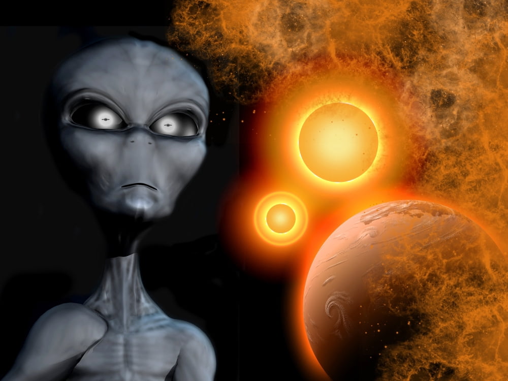 A Grey Alien from the Zeta Reticuli binary star system Canvas Art - Mark StevensonStocktrek Images (17 x 13)