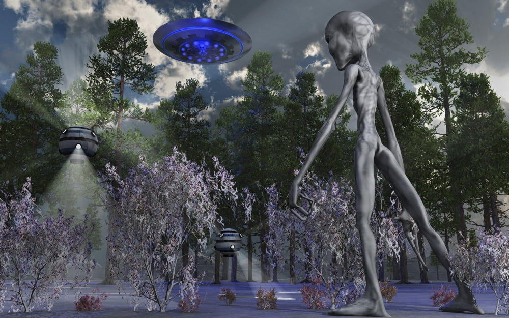 A Grey Alien researcher exploring woodlands Canvas Art - Mark StevensonStocktrek Images (18 x 12)
