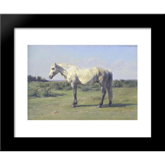 A Grey Horse in a Field 20x24 Framed Art Print by Rosa Bonheur