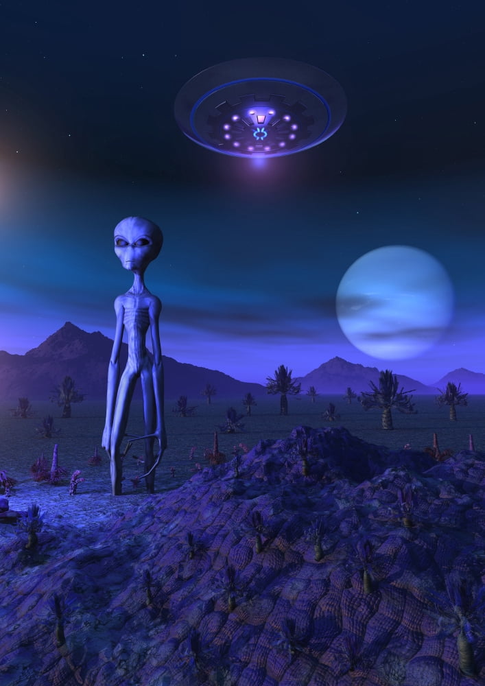 A Grey alien located on its homeworld of Zeta Reticuli Canvas Art - Mark StevensonStocktrek Images (12 x 17)