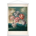 thumbnail image 1 of A Group Of Carnations Wall Poster with Magnetic Frame, 22.375" x 34", 1 of 6
