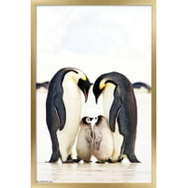 A Group Of Emperor Penguins Wall Poster, 22.375" x 34", Framed