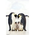 thumbnail image 1 of A Group Of Emperor Penguins Wall Poster, 22.375" x 34", 1 of 2