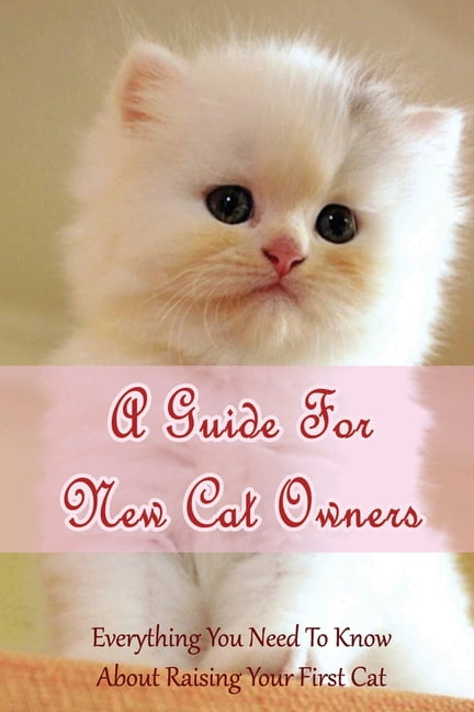 A Guide For New Cat Owners: Everything You Need To Know About Raising ...
