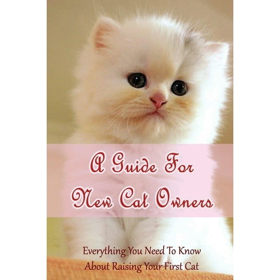 A Guide For New Cat Owners: Everything You Need To Know About Raising Your First Cat: How Do I Care For My New Kitten?