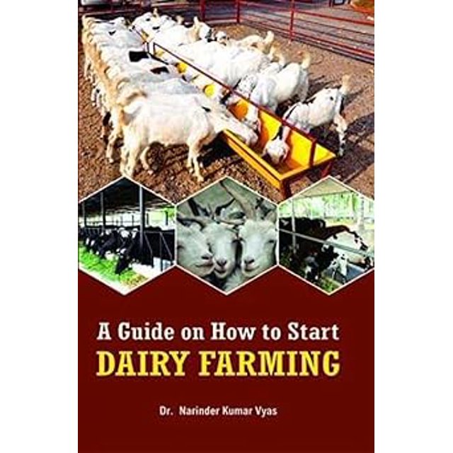 A Guide On How To Start Dairy Farming