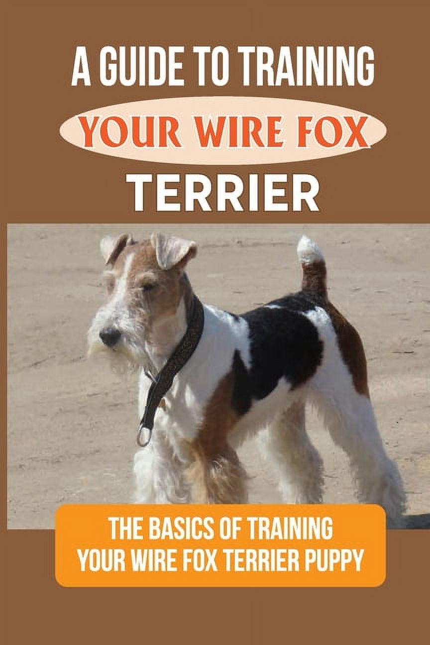 Training fox terriers sale