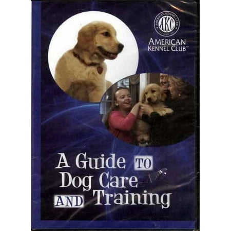 A Guide to Dog Care and Training