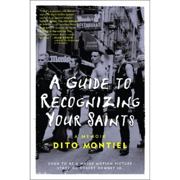 Pre-Owned A Guide to Recognizing Your Saints (Paperback) by Dito Montiel