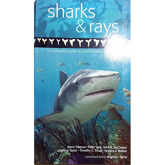 Pre-Owned A Guide to Sharks & Rays (Paperback) 1877019488 9781877019487
