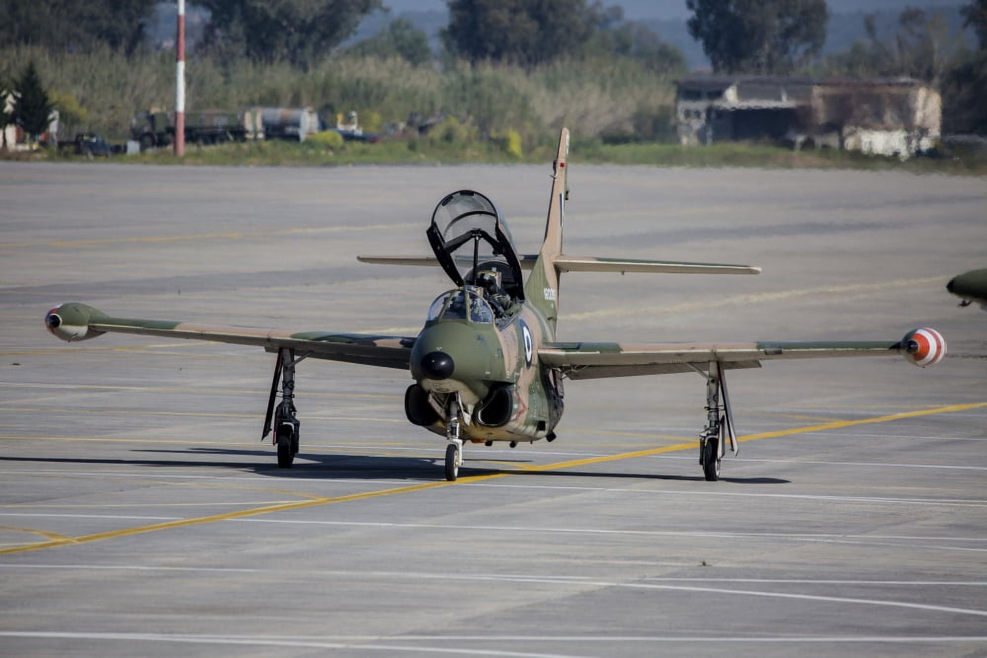 A Hellenic Air Force T-2 Buckeye trainer plane Kalamata Greece Canvas Art - Timm ZiegenthalerStocktrek Images (34 x 23)