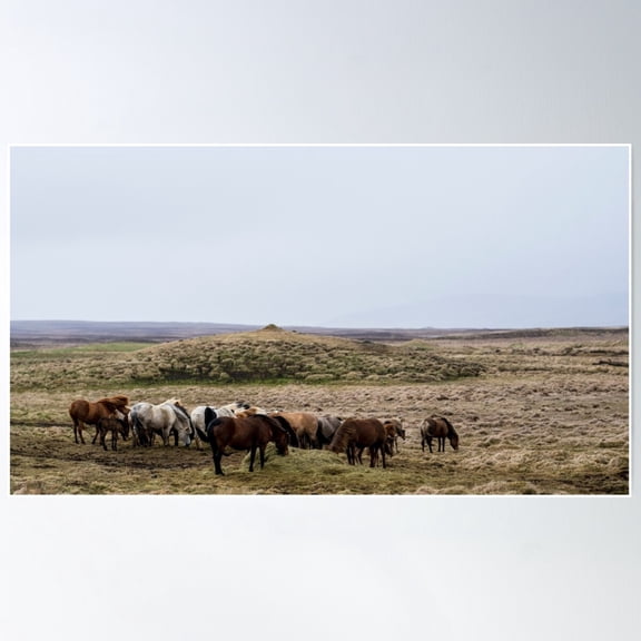 A Herd Of Icelandic Horses In A Storm On Iceland Poster Wall Art, Modern Wall Decor For Living Room Bedroom, 8x12 UNFRAMED