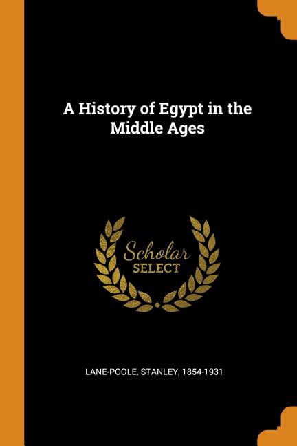 A History of Egypt in the Middle Ages Paperback
