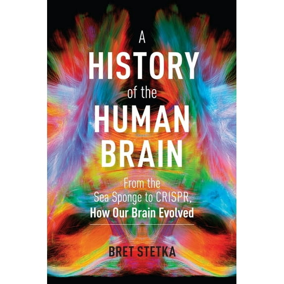 A History of the Human Brain: From the Sea Sponge to Crispr, How Our Brain Evolved, (Hardcover)