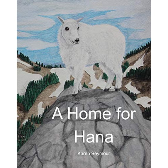 Pre-Owned A Home for Hana Paperback