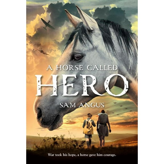 A Horse Called Hero, (Paperback)