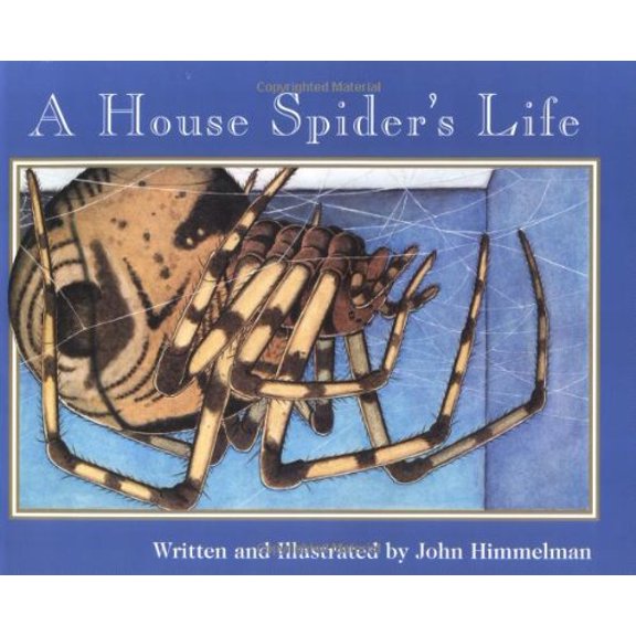 Pre-Owned A House Spider's Life (Nature Upclose) (Paperback) 0516265369 9780516265360