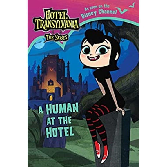 Pre-Owned A Human at the Hotel (Paperback) 9781534427068