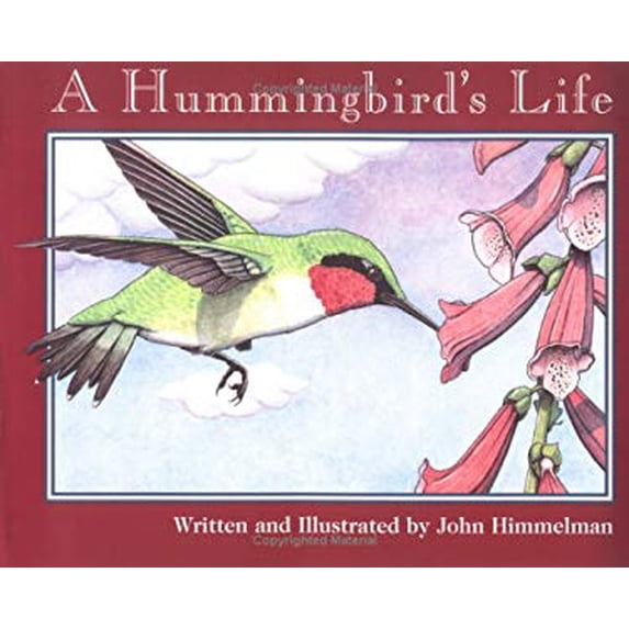 Pre-Owned A Hummingbird's Life (Nature Upclose) (Paperback) 0516271598 9780516271590
