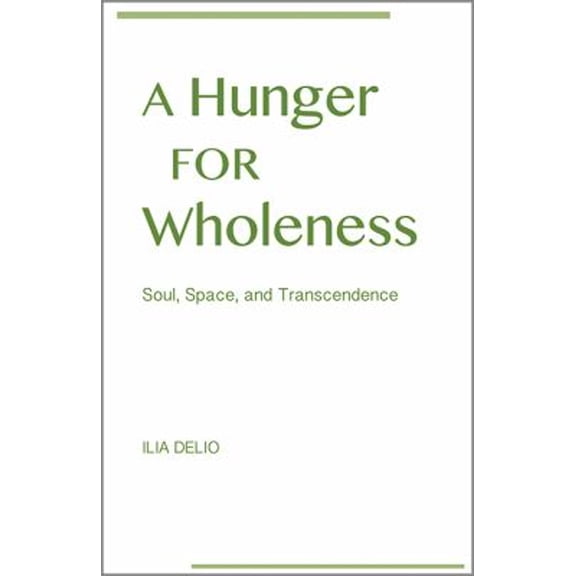 Pre-Owned A Hunger for Wholeness: Soul, Space, and Transcendence (Paperback) 0809153742 9780809153749