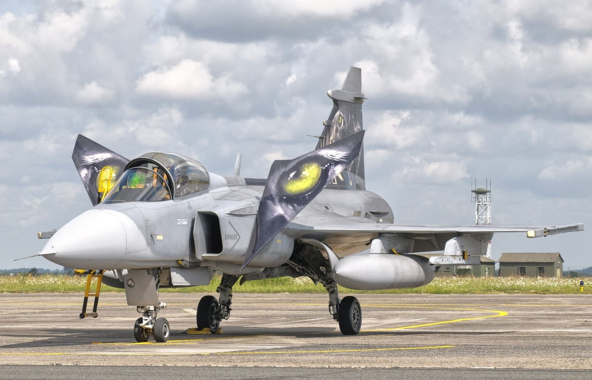 A JAS-39 Gripen of the Czech Air Force at Cambrai Air Base France Canvas Art - Giovanni CollaStocktrek Images (35 x 23)
