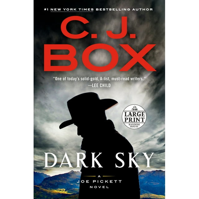 A Joe Pickett Novel Dark Sky (Series 21) (Paperback)