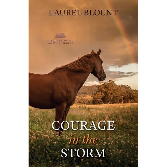 A Johns Mill Amish Romance Courage in the Storm, Book 3, (Hardcover)