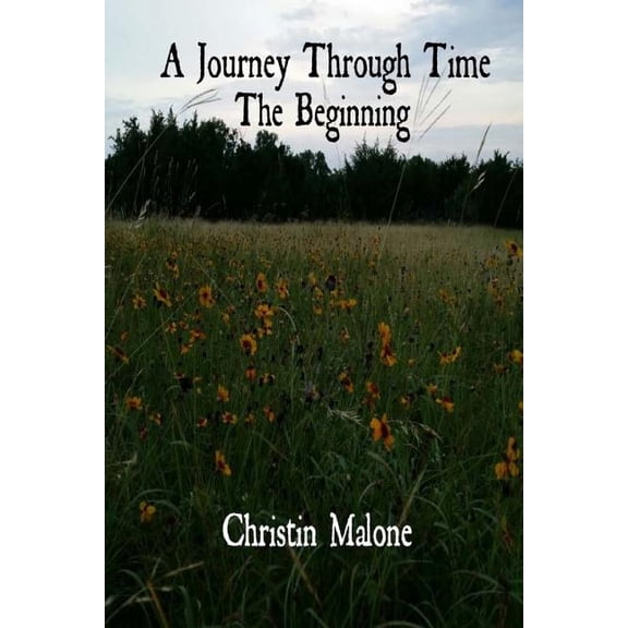A Journey Through Time : The Beginning