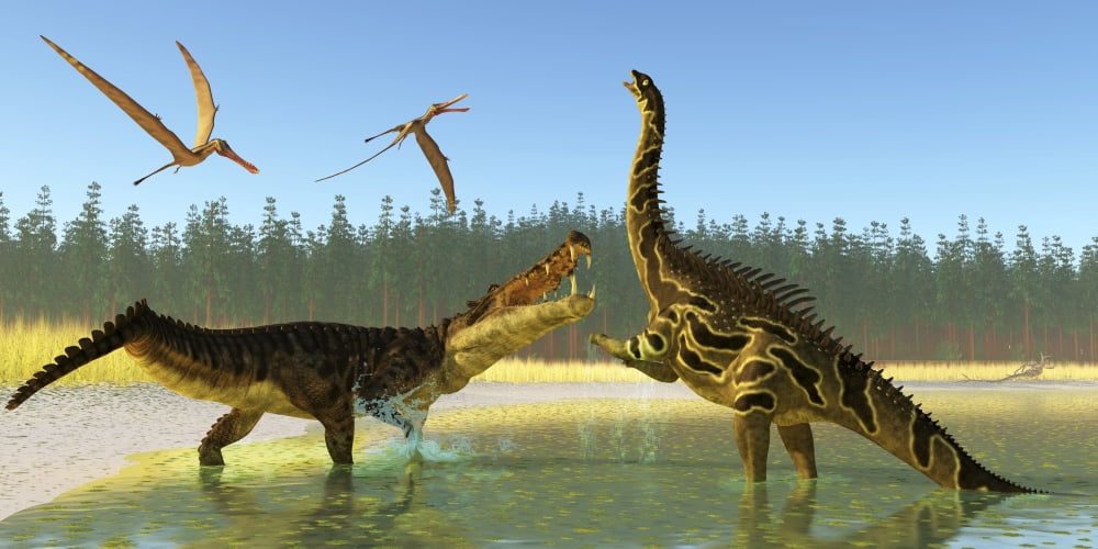 A Kaprosuchus reptile confronts an Agustinia dinosaur Canvas Art - Corey FordStocktrek Images (20 x 10)