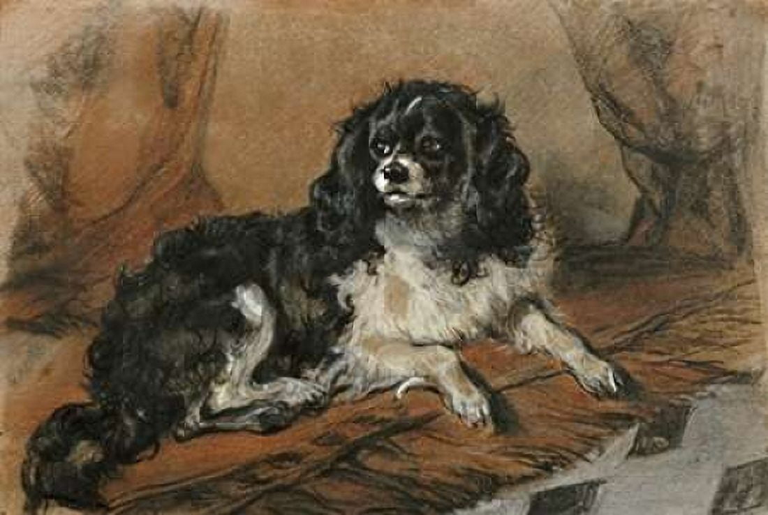 A King Charles Spaniel Canvas Art - Sir Edwin Landseer (12 x 18)
