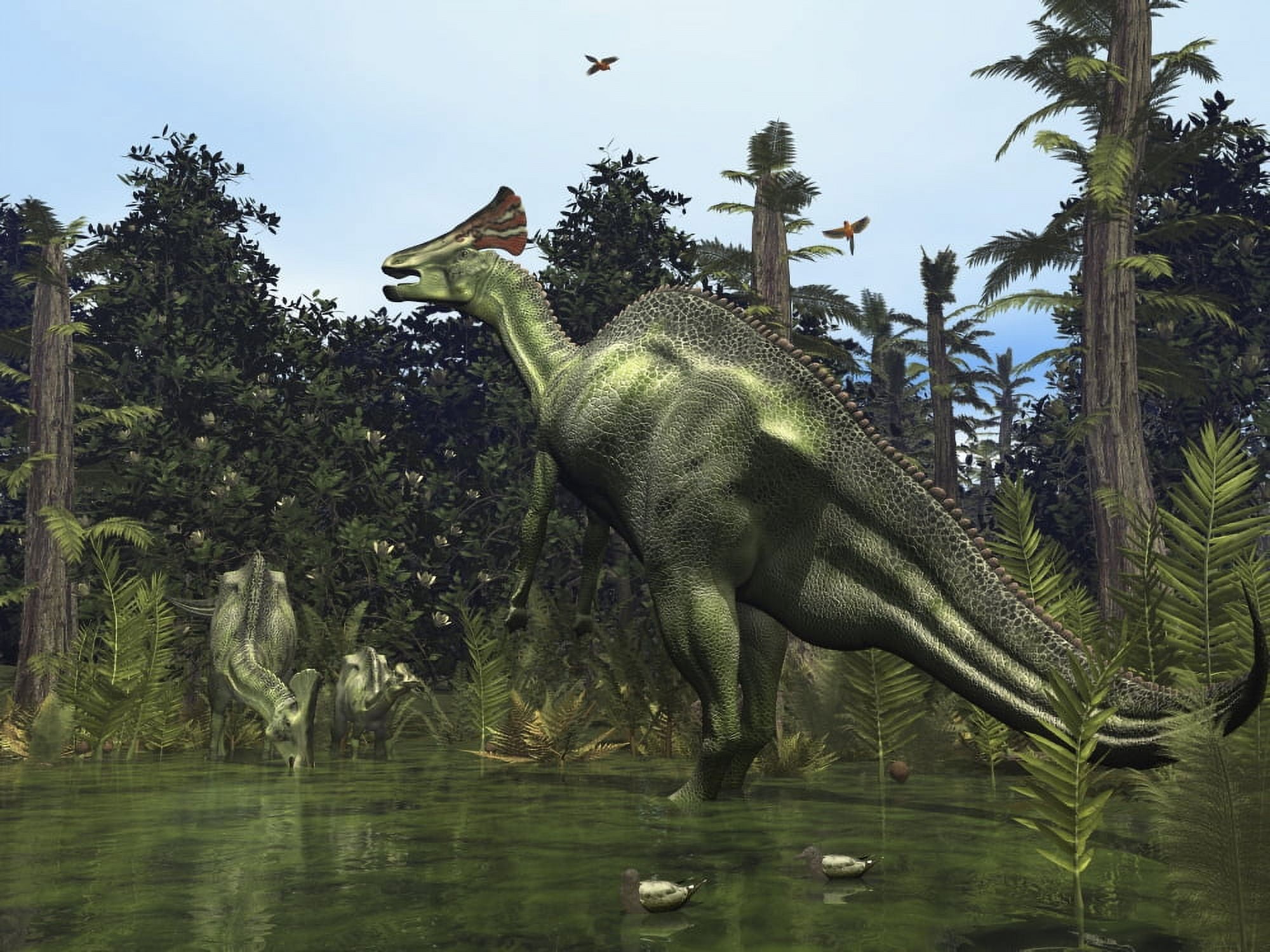 A Lambeosaurus rears onto its hind legs in response to a threat Canvas Art - Walter MyersStocktrek Images (33 x 25)