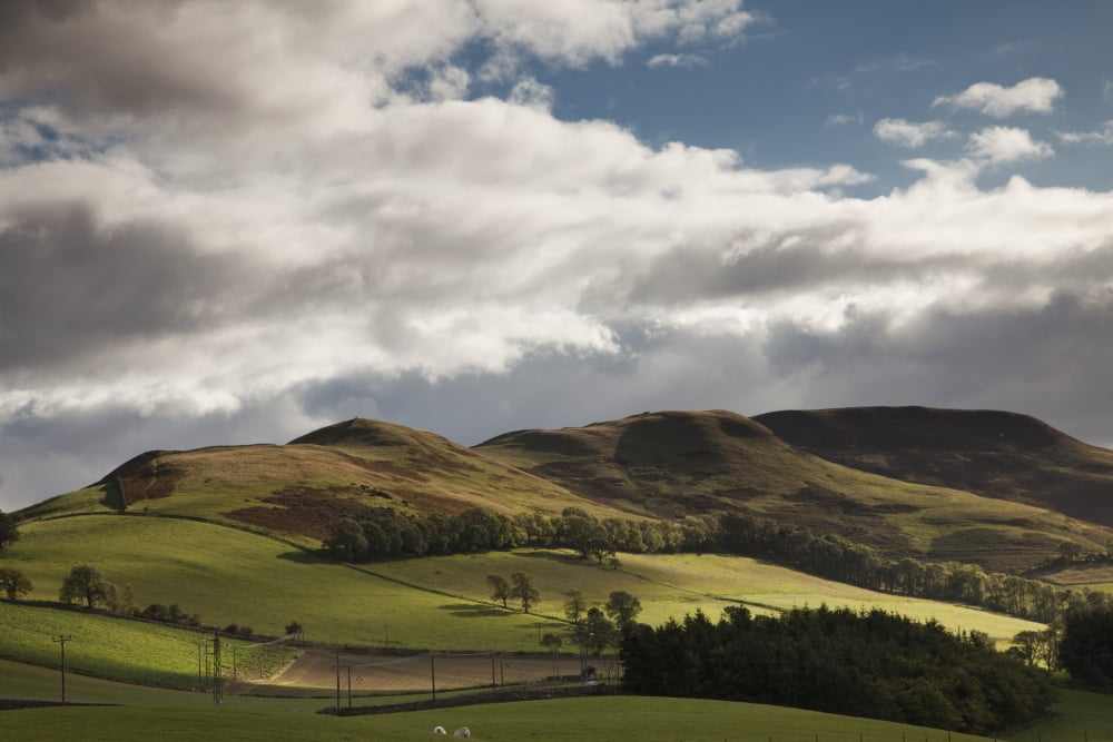 A Landscape With Rolling Hills And Powerlines And Clouds Overhead Scottish Borders Scotland Canvas Art - John Short Design Pics (38 x 24)