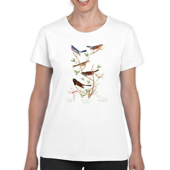 A Lazuli Finch T-Shirt Women -John James Audubon Designs, Female XX-Large