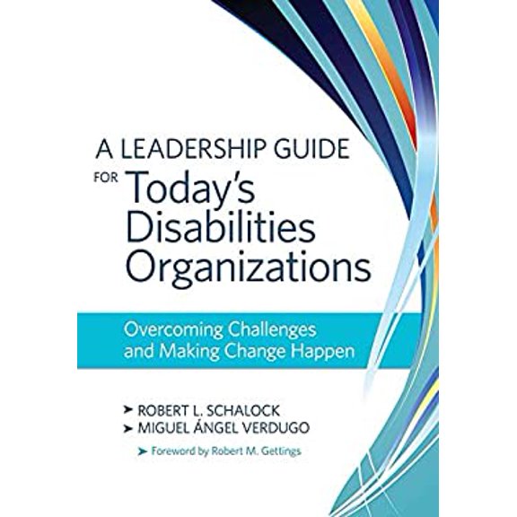 Pre-Owned A Leadership Guide for Today's Disabilities Organizations: Overcoming Challenges and Making Change Happen (Paperback) 1598571818 9781598571813
